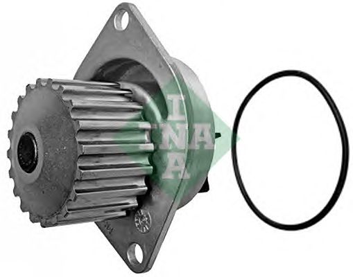 538 0034 10  INA - Насос охолоджуючої рідини1