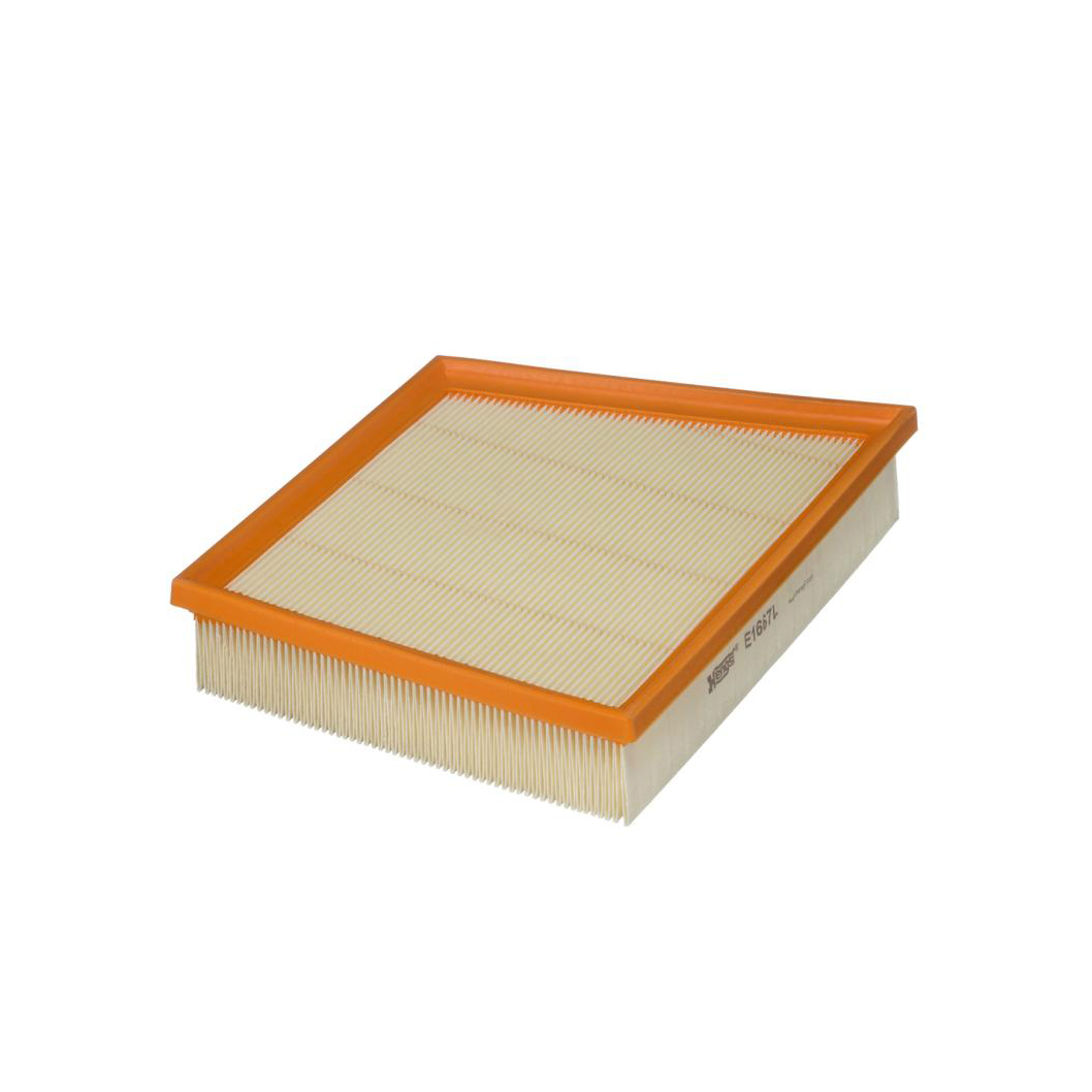 E1667L     (HENGST)1