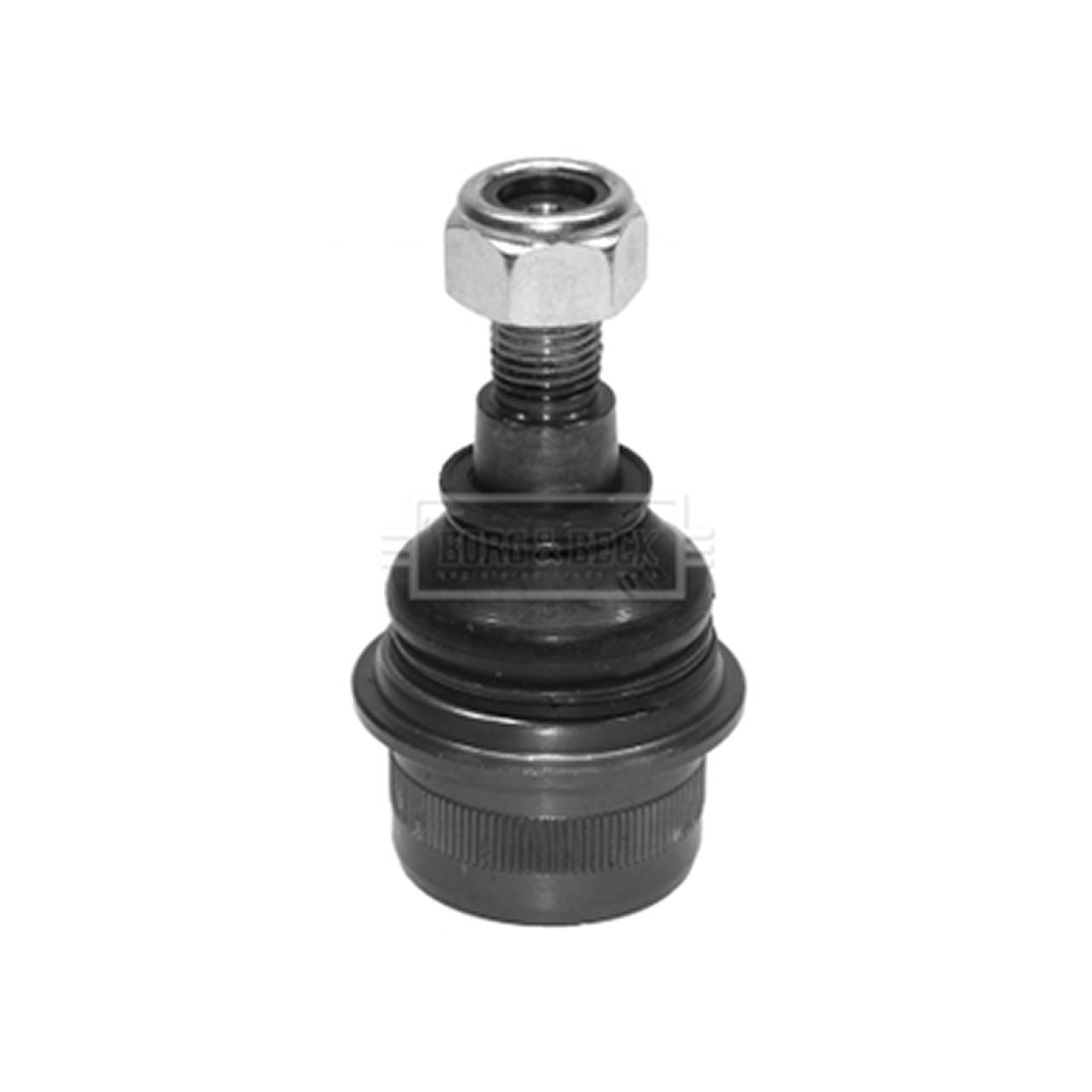 BBJ5448 BORG & BECK - Кульова опора L/R1