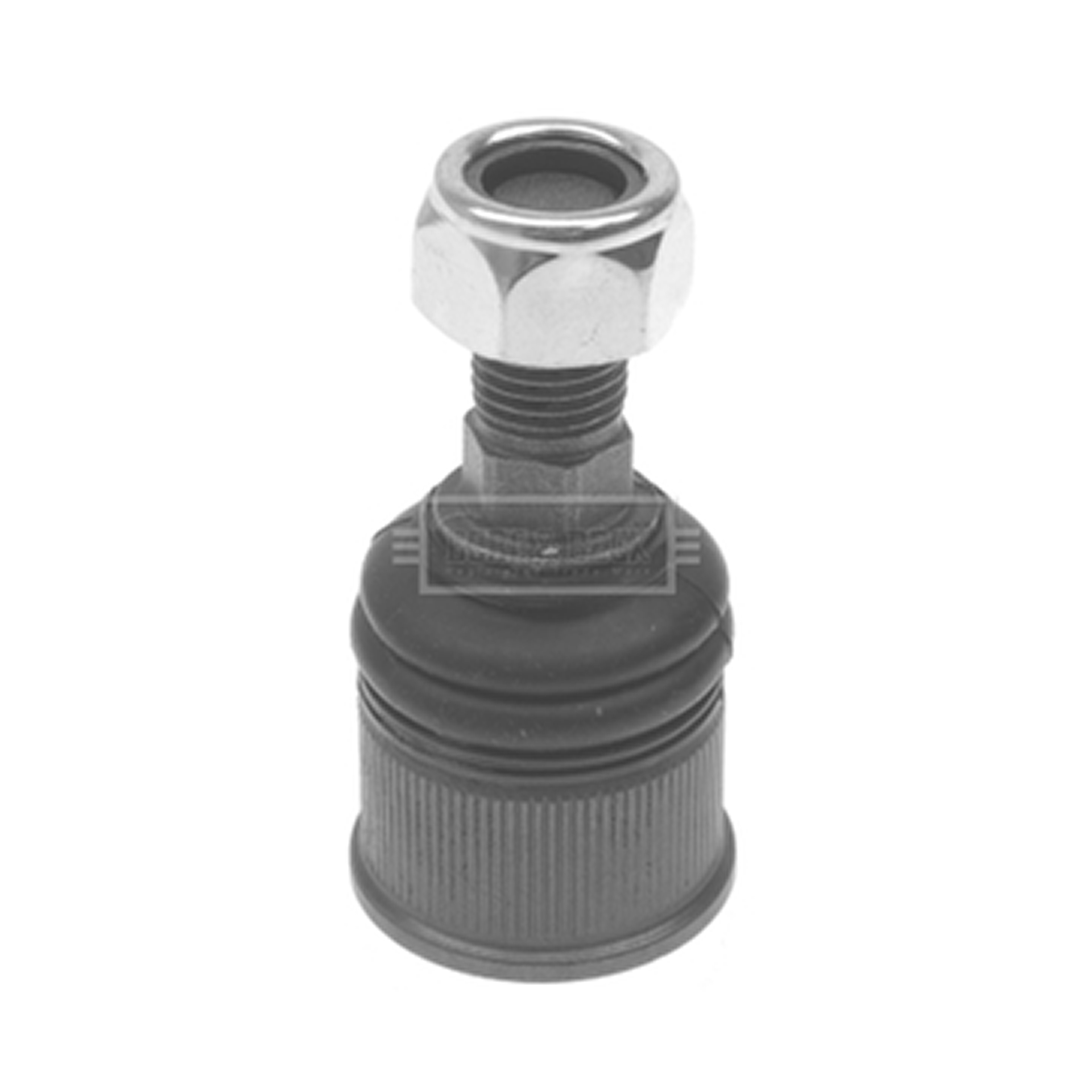 BBJ5623 BORG & BECK - Кульова опора L/R1