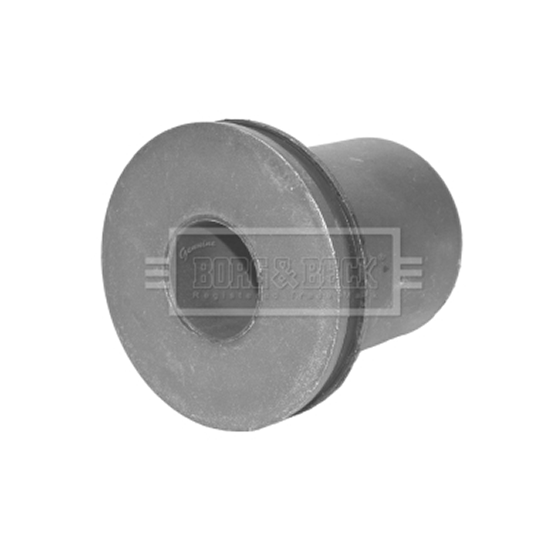 BSK6533 BORG & BECK - Сайлентблок1