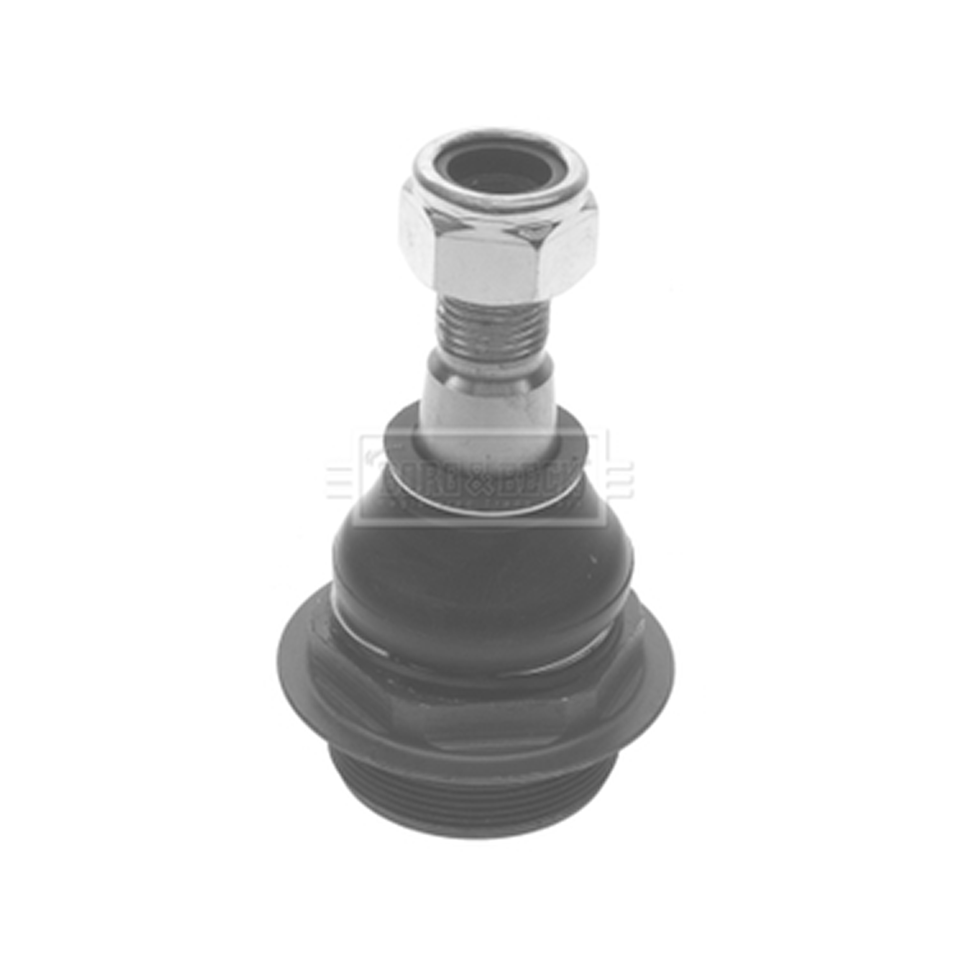 BBJ5620 BORG & BECK - Кульова опора L/R1