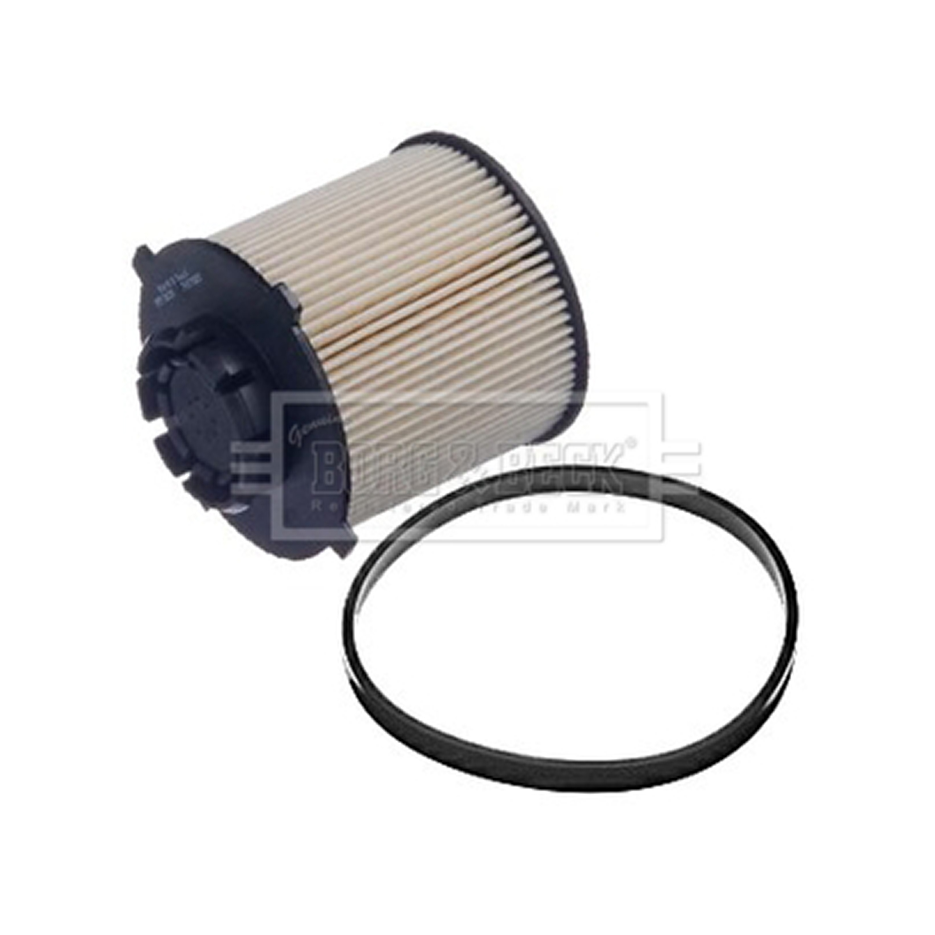 BFF8039 BORG & BECK - Фільтр палива1