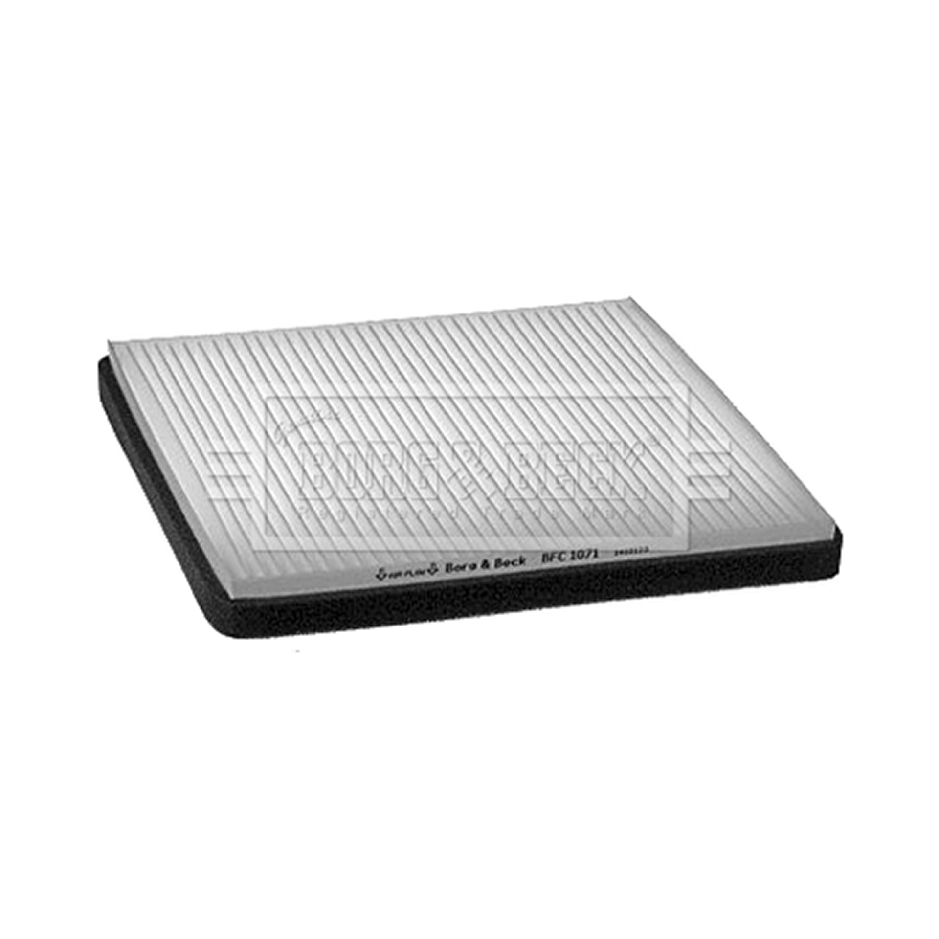 BFC1071 BORG & BECK - Фільтр салону1