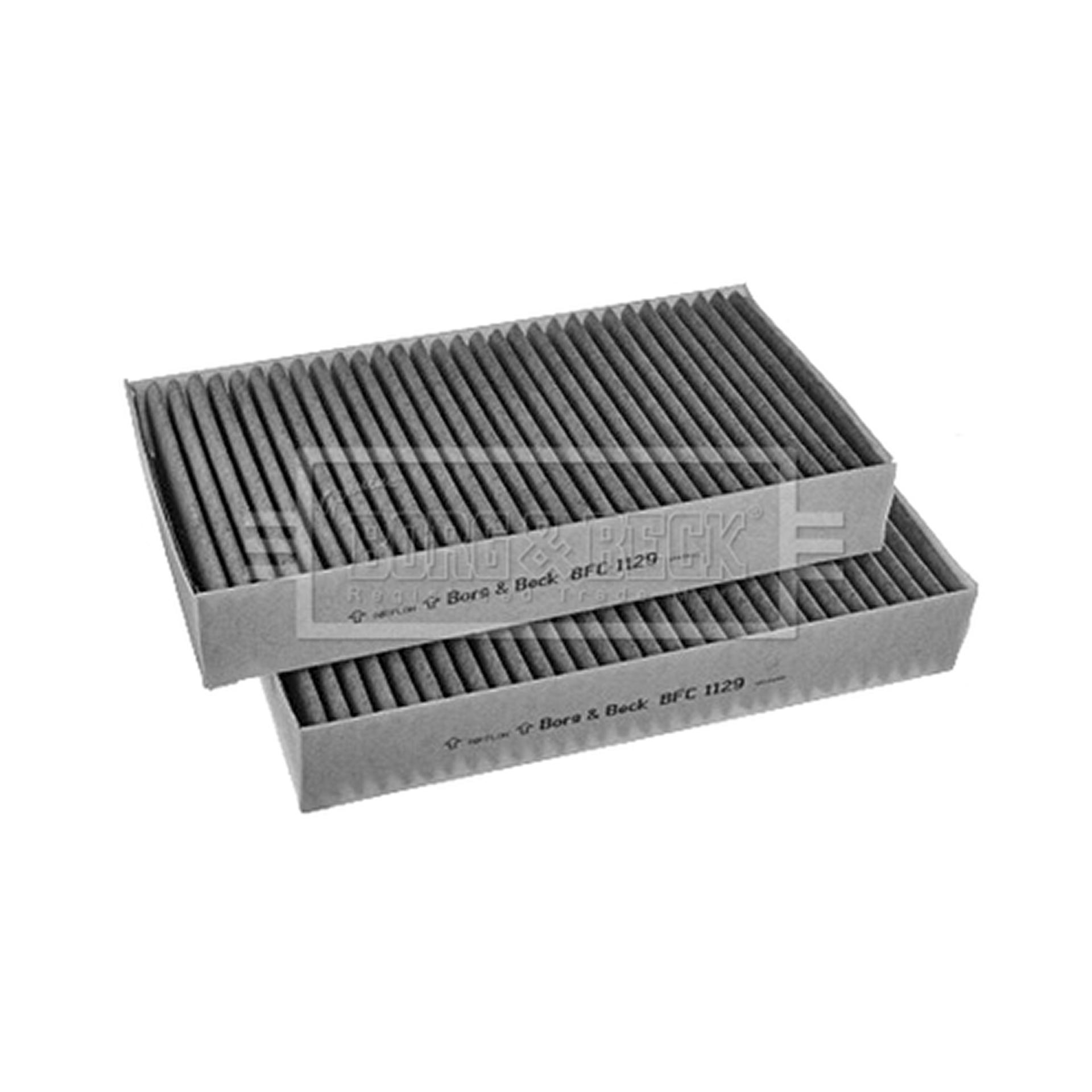 BFC1129 BORG & BECK - Фільтр салону1
