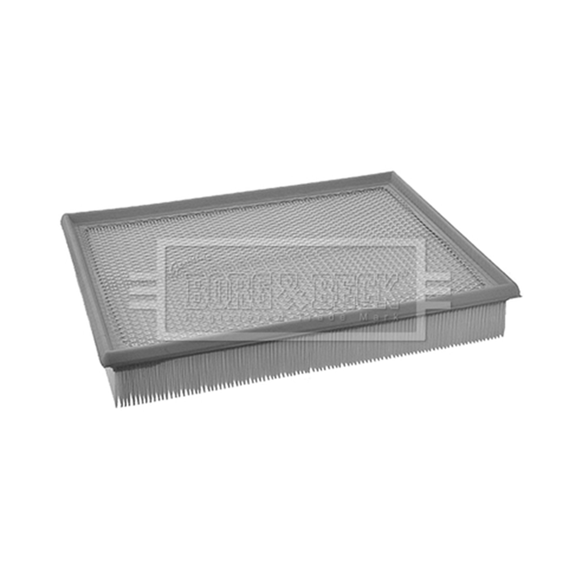 BFA2018 BORG & BECK - Фільтр повітря1