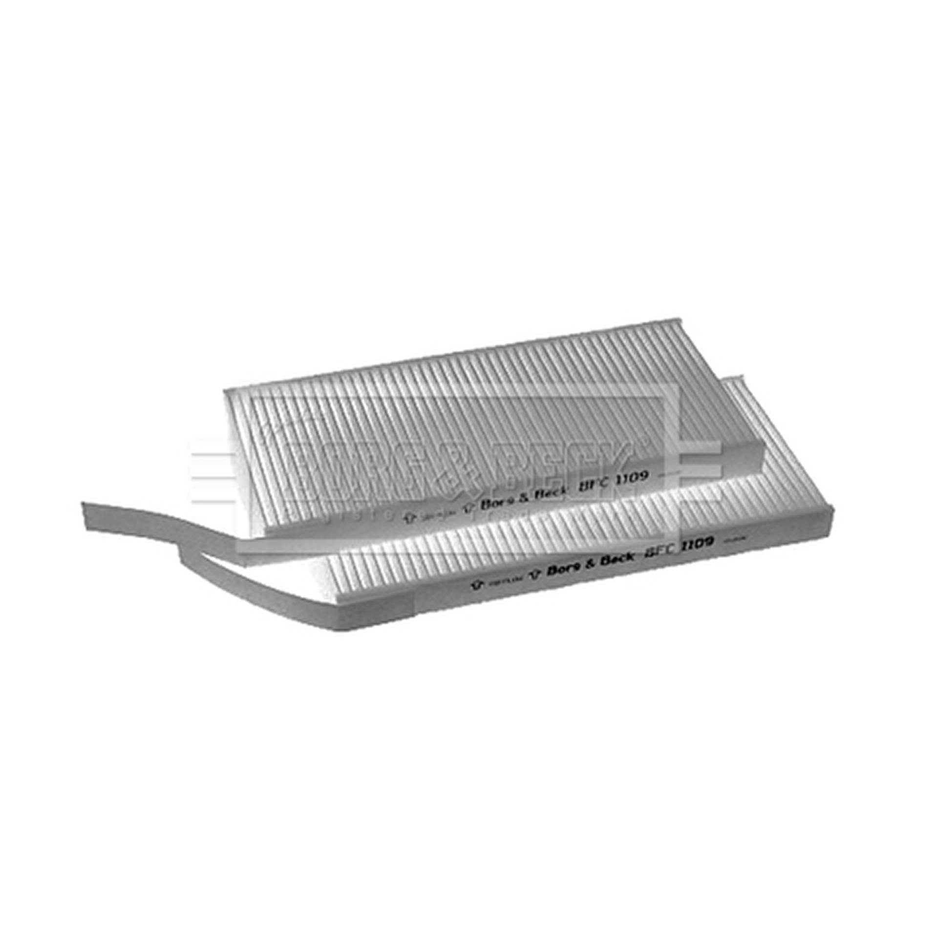 BFC1109 BORG & BECK - Фільтр салону1