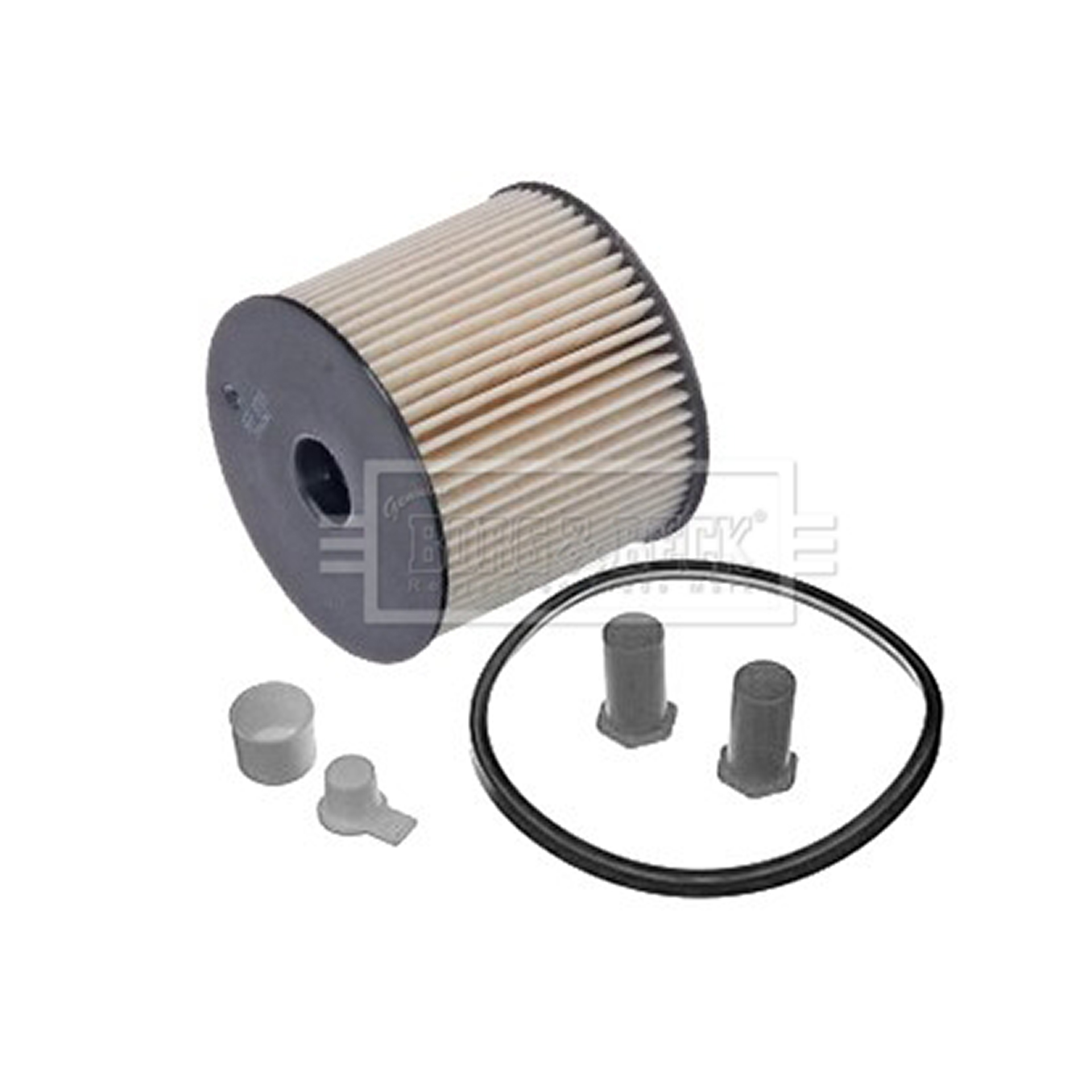 BFF8006 BORG & BECK - Фільтр палива1