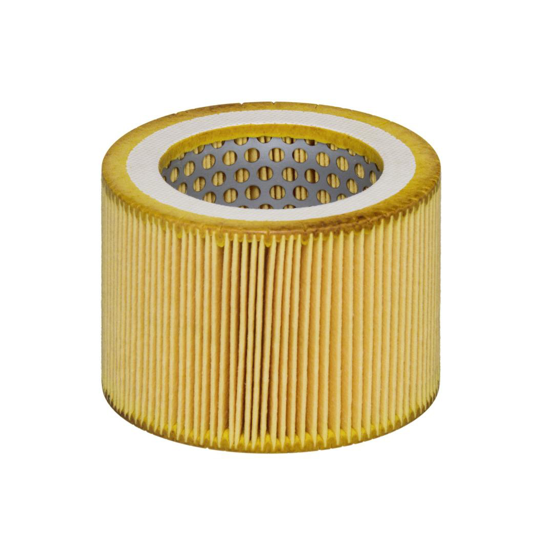 E1536L     (HENGST)1