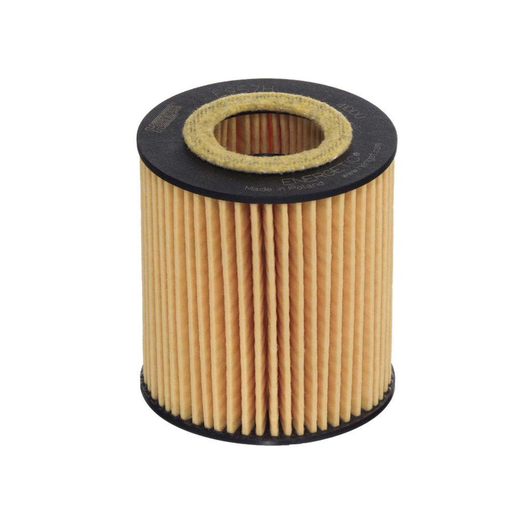 E957H D505     (HENGST)1