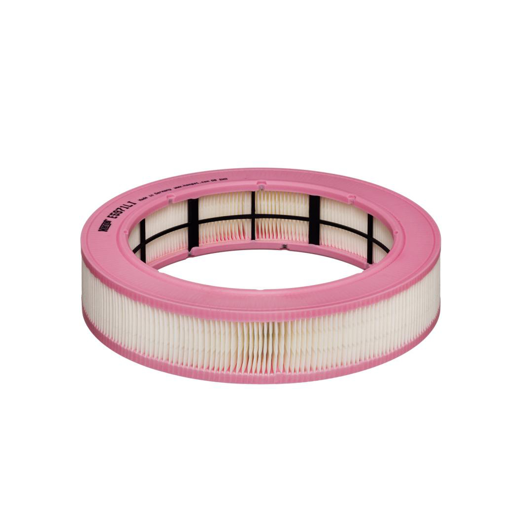 E5971LI     (HENGST)1