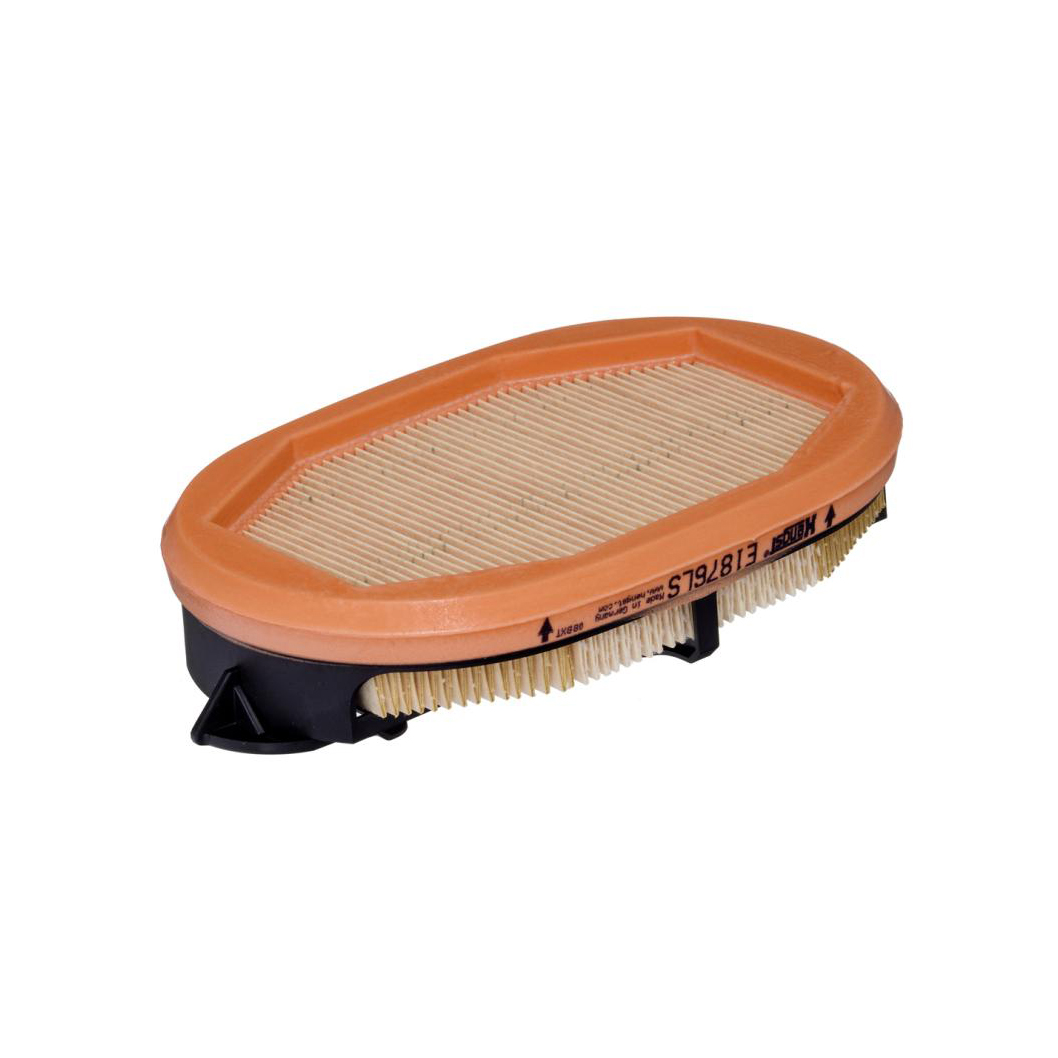 E1876LS     (HENGST)1