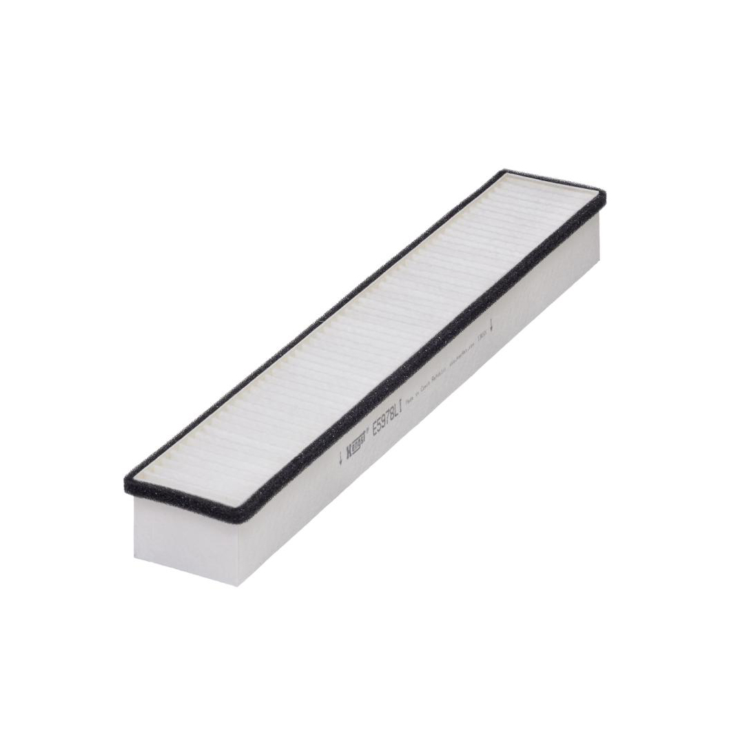 E5978LI     (HENGST)1