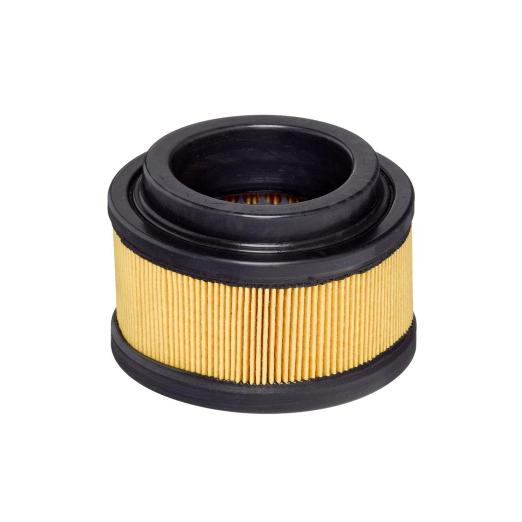 E1655L     (HENGST)1