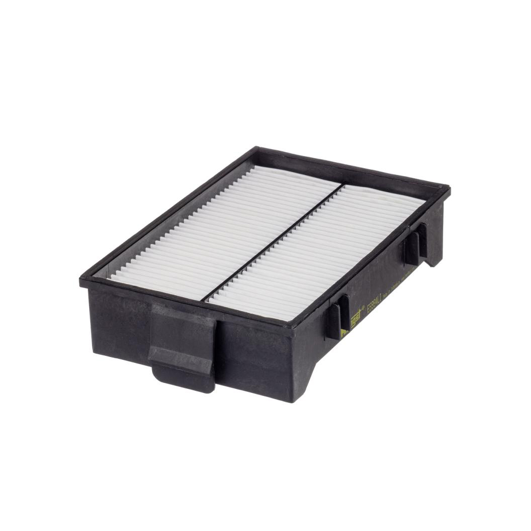 E5994LI     (HENGST)1