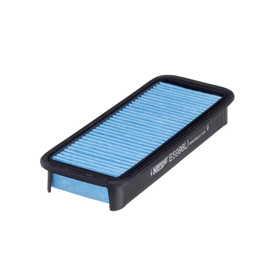 E5996LI     (HENGST)1