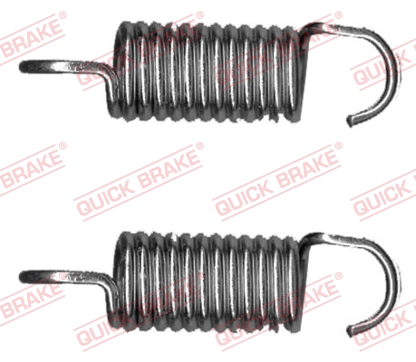 113-0521 QUICK BRAKE Пружины супорта (заднього) Renault Master 2.3dCi 10- (К-кт L+R)1