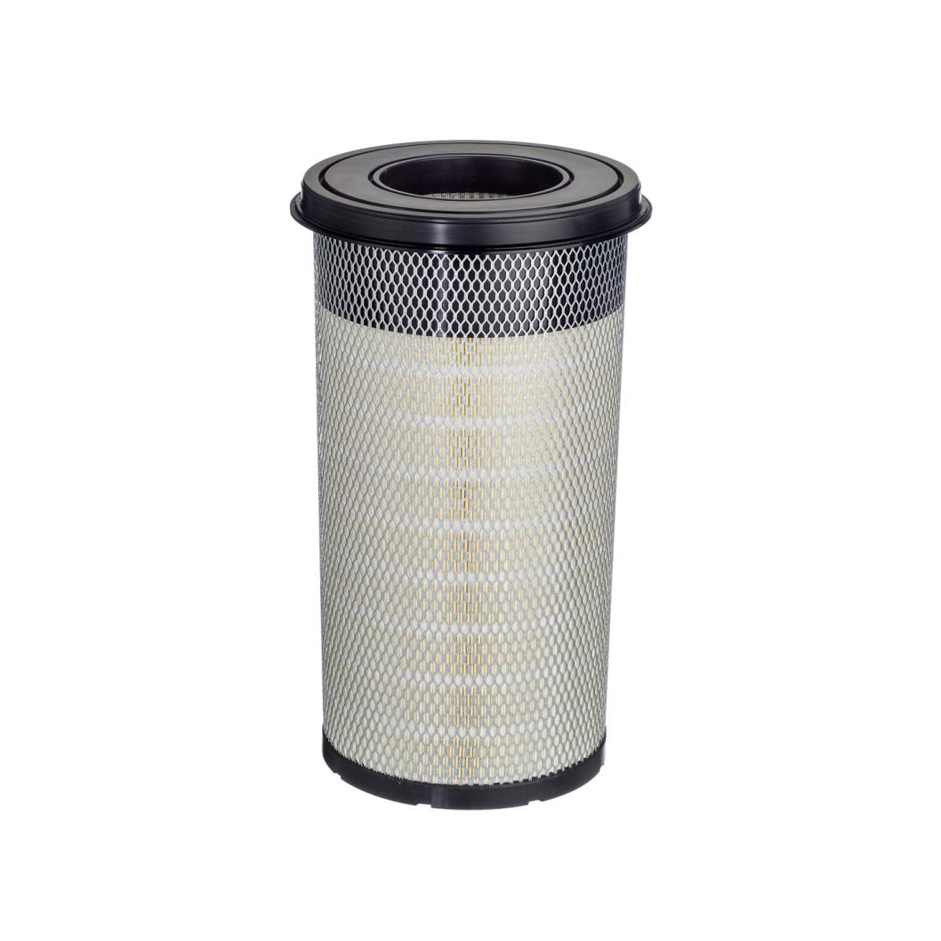 E1656L     (HENGST)1