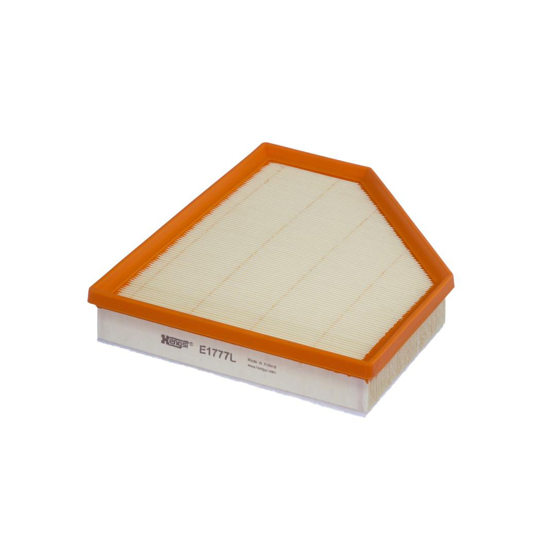 E1777L     (HENGST)1