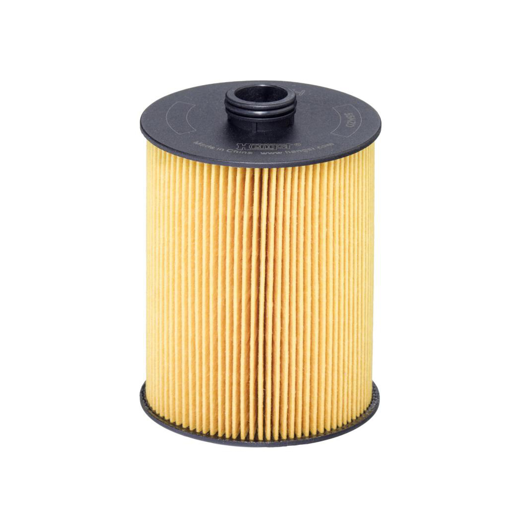 E136H D428     (HENGST)1