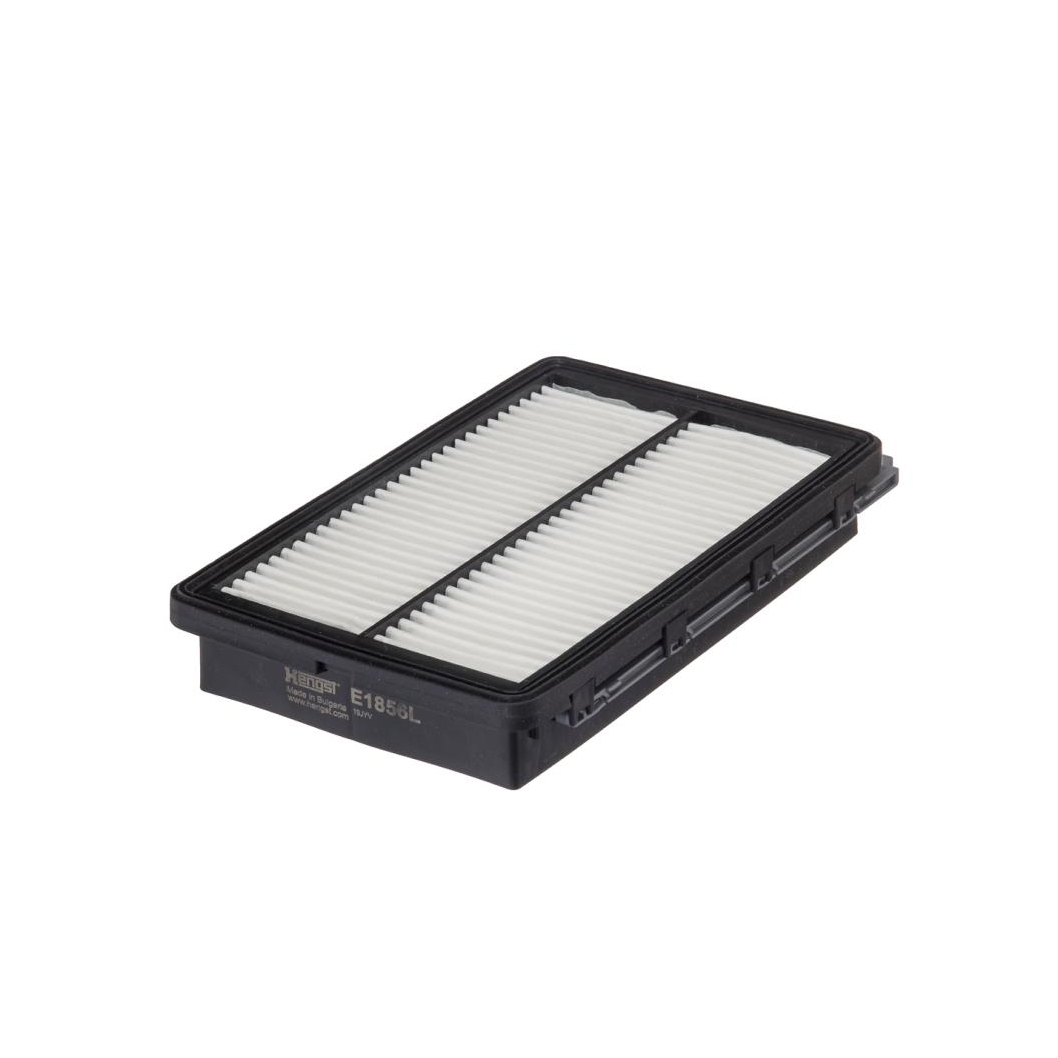 E1856L     (HENGST)1