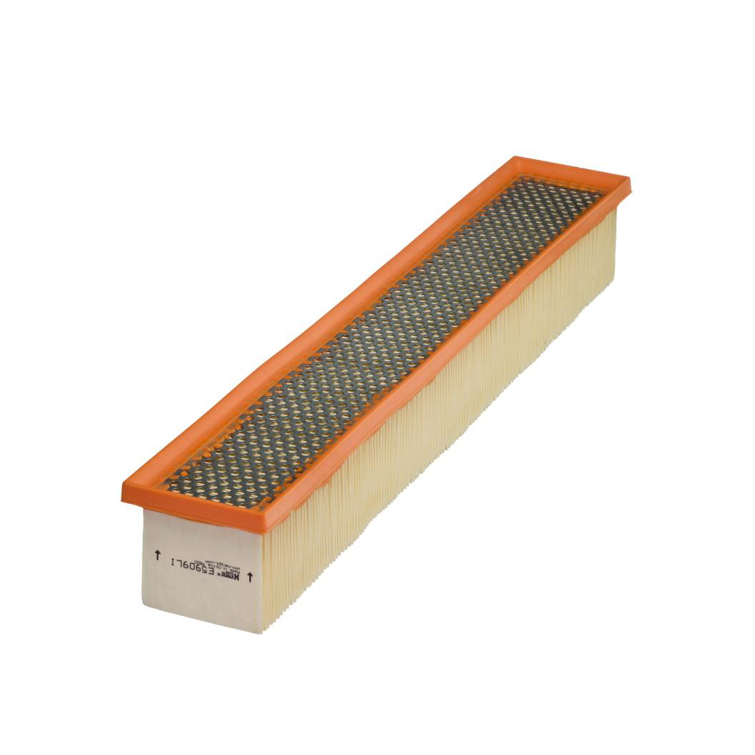 E5909LI     (HENGST)1