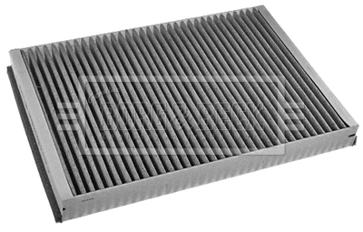 BFC1142 BORG & BECK - Фільтр салону1