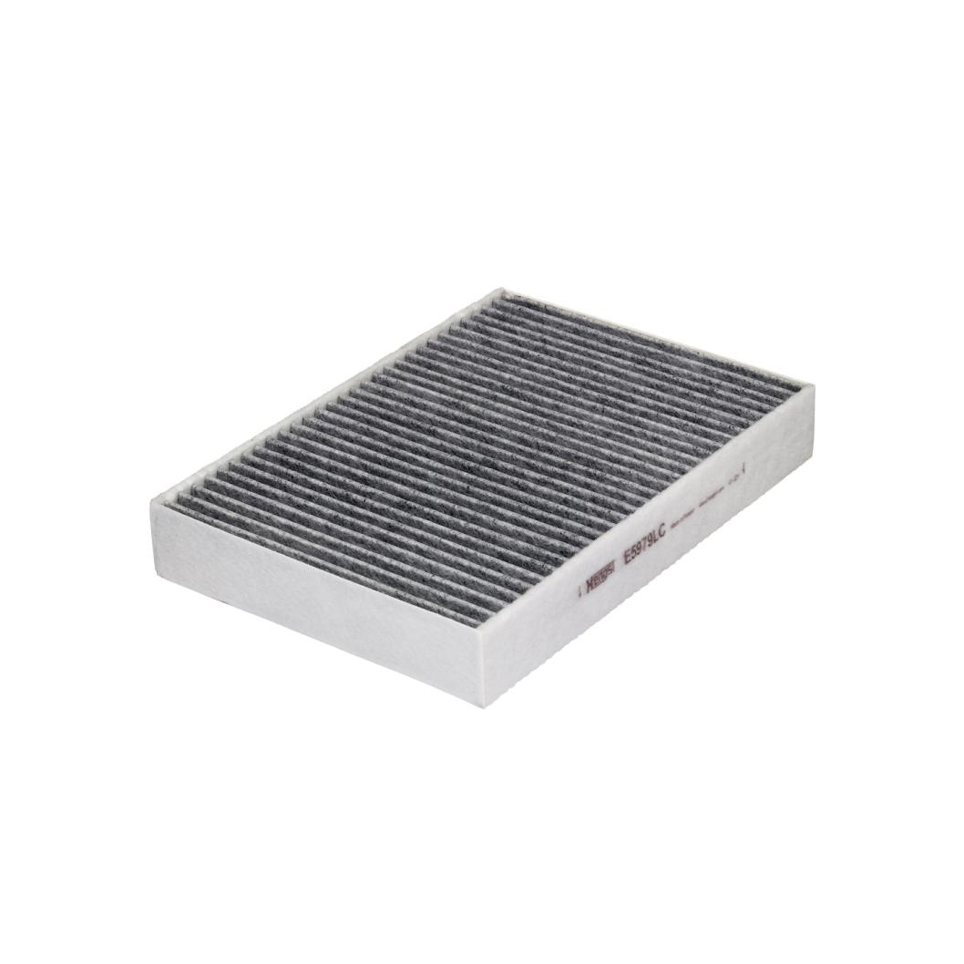 E5979LC     (HENGST)1