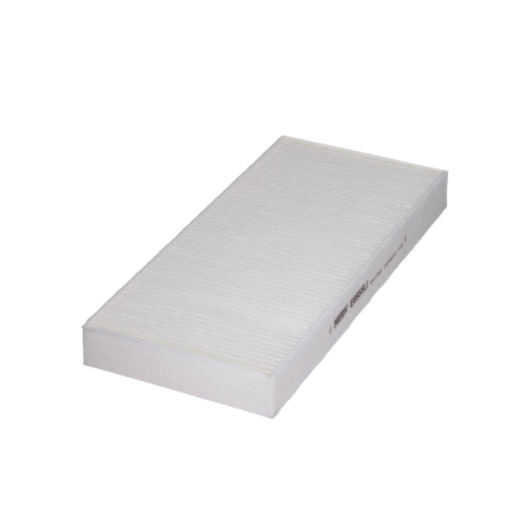 E6955LI     (HENGST)1