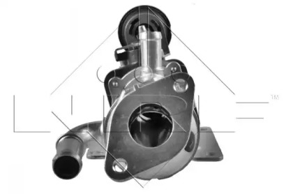 48011 NRF Радіатор відпрацьованих газів1