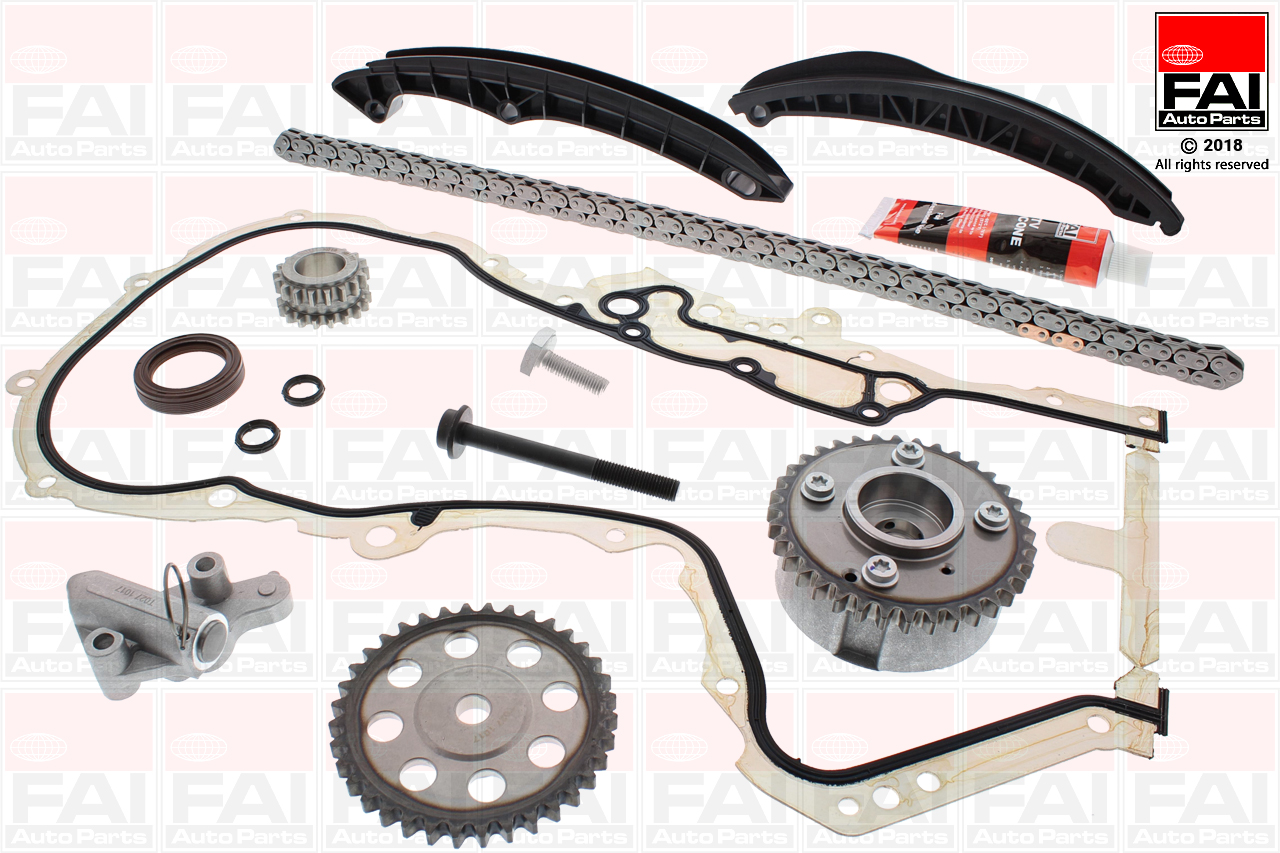 TCK202L2VVT FAI Ланцюг ГРМ, комплект1