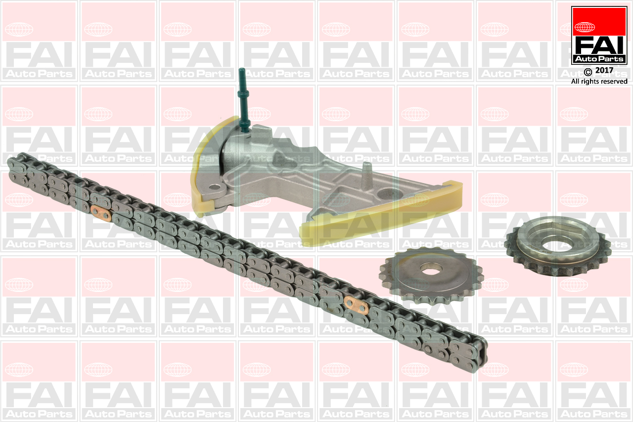OPCK3B FAI Ланцюг ГРМ, комплект1