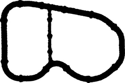 71-11831-00 Victor Reinz  Прокладка колектора впускного BMW X5 (F15/F85) 15- B471