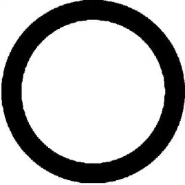 71-24564-00 Victor Reinz  Прокладка впускного колектора RENAULT/VOLVO 2,5-3,0 -911