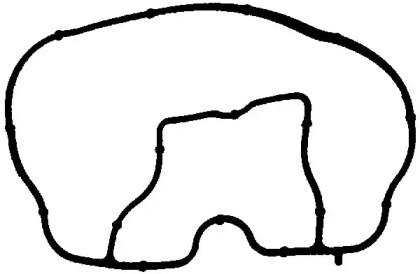 71-35543-00 Victor Reinz  Прокладка впускного колектора FORD 1,3 duratec fiesta 2001-20081