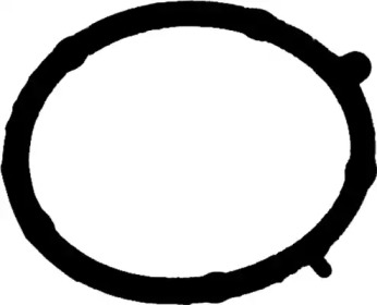 71-35681-00 Victor Reinz  Прокладка колектора впускного Fiat Doblo 1.9 D 01- (верхня)1