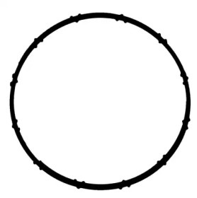 71-37628-00 Victor Reinz  Прокладка колектора впускного BMW 1 (F20/F21)/3 (F30/F80) 11- N13 B16 A1