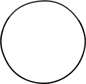 71-37691-00 Victor Reinz  Прокладка, кришка головки циліндра1