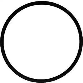 71-39303-00 Victor Reinz  Прокладка колектора впускного Citroen Berlingo/Fiat Scudo/Peugeot Expert/P1